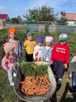 Осень - красивое время года ! Осень - красивое время года !.